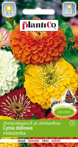 PlantiCo Cynia wytworna daliowa mix kolorów 1g