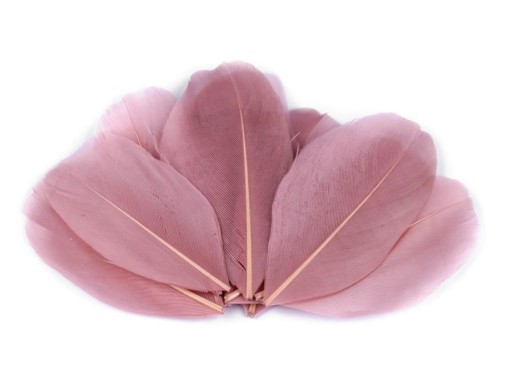 Czubki gęsich piór 5-7 cm STARY RÓŻ 10 szt