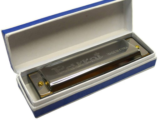 Harmonijka diatoniczna w stroju C HD10-1 Parrot