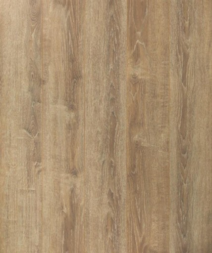 Panele podlogowe Wild Wood GOLD PLUS Dab Miodowy