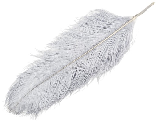 STRUSIE PIÓRA PIÓRO NATURALNE 55-60CM SZARE 02