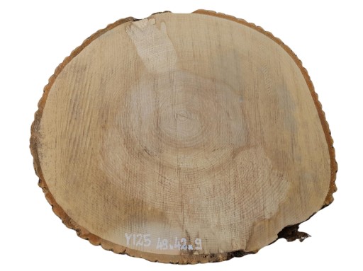 Plaster Jesionowy 49x42 Nietypowe Kształty Tarcica