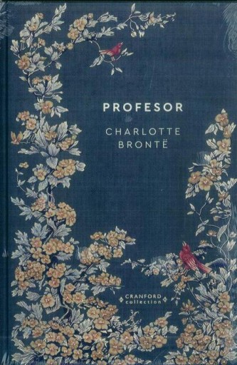 PONADCZASOWE POWIEŚCI nr 15 - PROFESOR