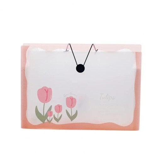 Widely Use Document Folder Transparent Storage