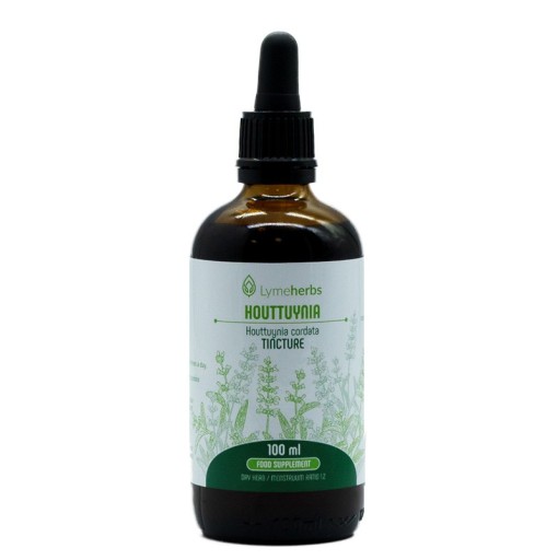 Houttuynia nalewka 1:2 (100ml)