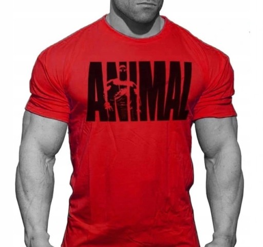 Universal Animal T-shirt Iconic #8236 Koszulka czerwona r. M