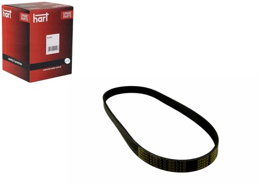 PASEK KLINOWY 6PK 975 HART
