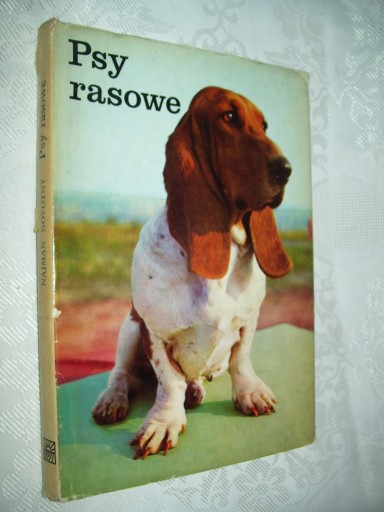 PSY RASOWE - NAJMAN