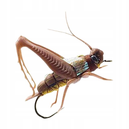 Bionic Locust dla Tilapii Brown