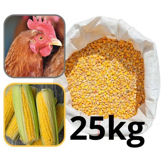KUKURYDZA 25KG - pasza dla kur niosek gołębi pasza karma