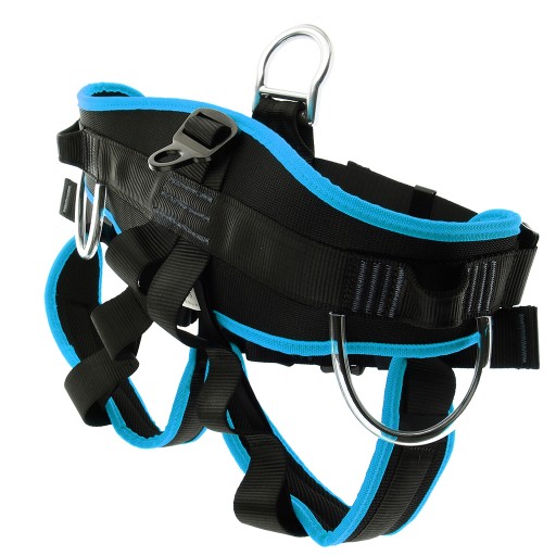 Rappelling speleology mountaineering Arborist