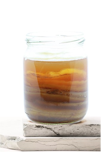 Kombucha Scoby grzyb herbaciany japoński + Starter