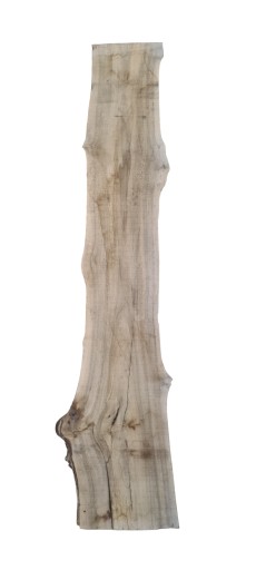 Orzech włoski, walnut, nussbaum, deski, tarcica 1470x150x52