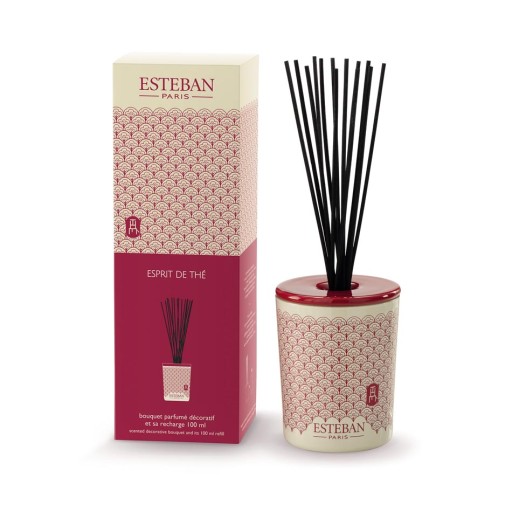 DYFUZOR ZAPACHOWY 100 ml Esprit PRZYKRYWKA Esteban