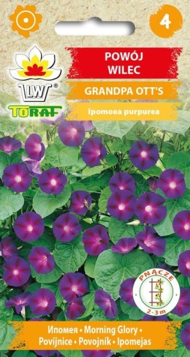 POWÓJ WILEC GRANDPA OTT'S NASIONA TORAF