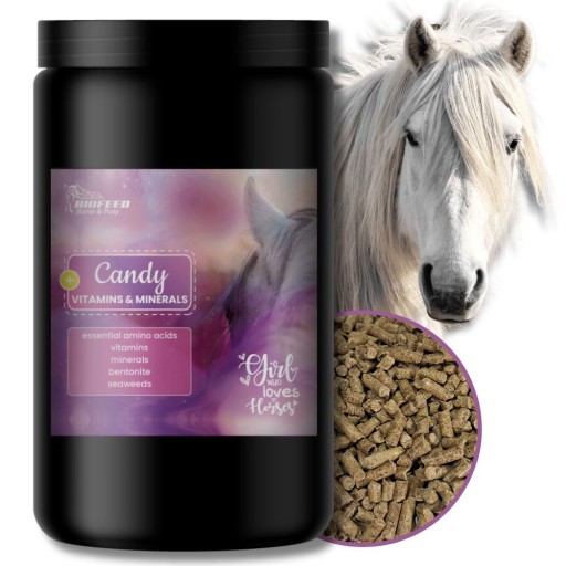 BIOFEED HORSE&PONY CANDY Witaminy i minerały dla koni kuców - Granulat 1kg