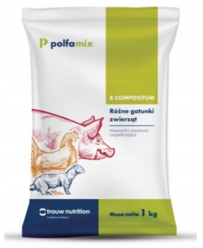 POLFAMIX B-COMP 1KG PASZA MIESZANKA UZUPEŁNIAJĄCA