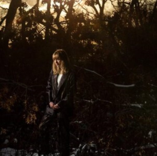 THE WEATHER STATION How Is It That I Should Look At The Stars LP