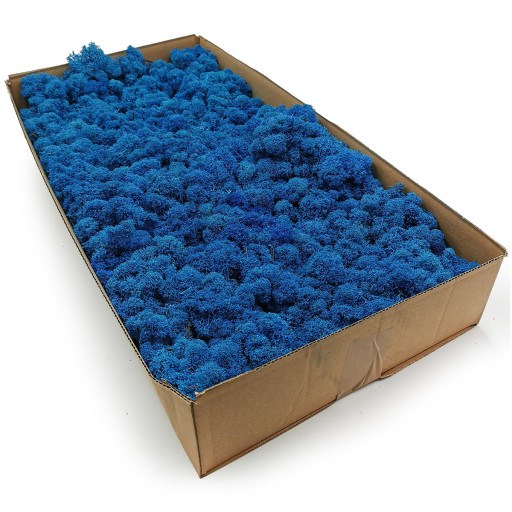 Mech chrobotek fiński 500g