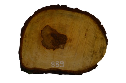 Plaster Kasztana 38x30 cm Drewniane Deski Tacka