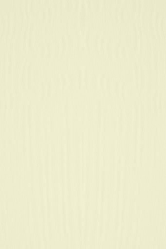 Papier ACQUERELLO 240g prążki ecru 10A4