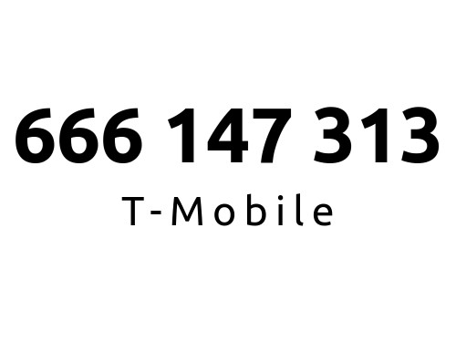 666-147-313 | Starter T-Mobile (14 73 13) #C