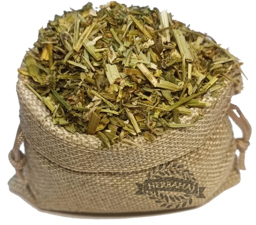 FIOŁEK TRÓJBARWNY ziele 1000g HERBAHAJ