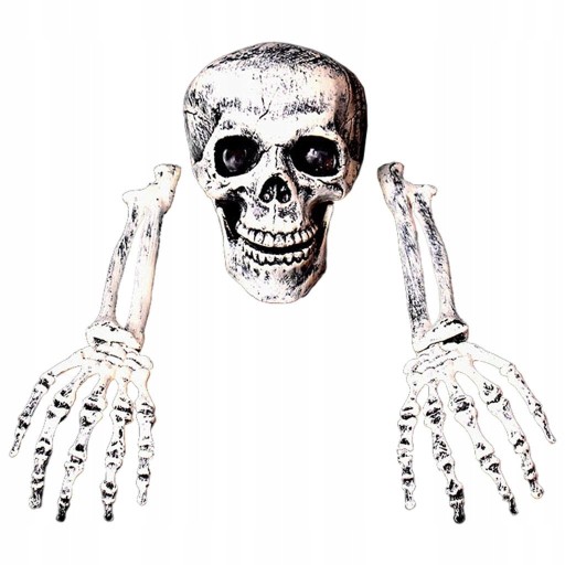 Halloween Horror Szkielet Ozdoby Głowy Czaszka