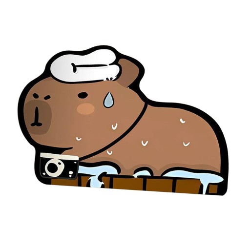 Capybara Bath Rug Water bsorbent Bath Mat Shower Rug Bath Tub Floor A