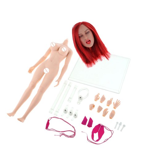1/6 skala kobiety rysunek głowy Sculpt U0026 ciało kobiety dla 12 