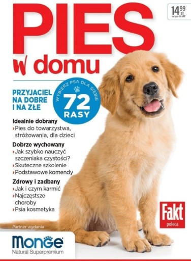 Pies w domu