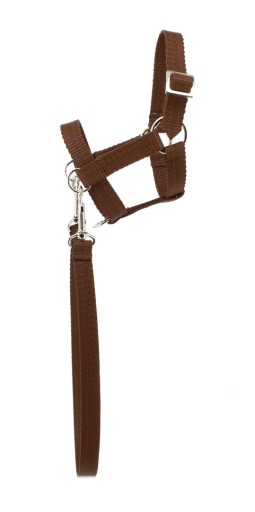Mustang Kantar Hobby Horse + wodze rozm. ( A3 ) brązowy