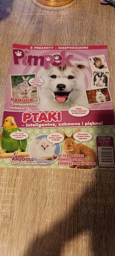 Pimpek 1 / 2014