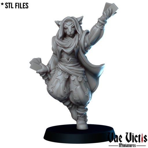 The Tabaxi diviner - x1 - 3dmonkeypl