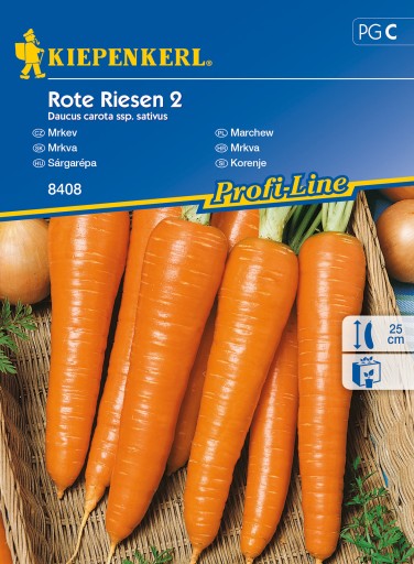 Kiepenkerl nasiona Marchew Rote Riesen 2