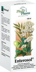 ENTEROSOL PŁYN 100ML