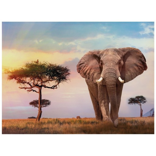 Puzzle 500el Zachód słońca w Afryce Clementoni