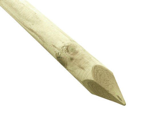 Palik 5×200 ostrzony impregnowany drewniany 200 cm