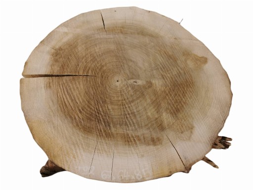 Plaster Topoli 67x64cm Różne Kształty i Rozmiary