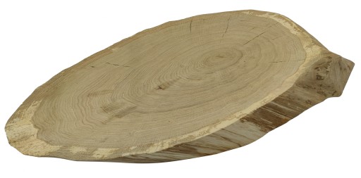 DĘBOWY PLASTER DREWNA BLAT 70CM UNIKAT 104443
