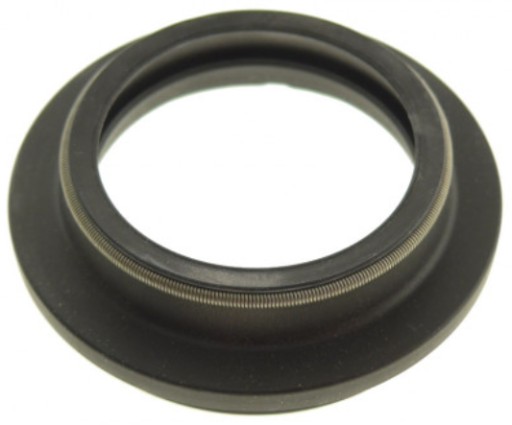 KAPTURKI PRZECIWPYŁOWE LAG BMW C1 125 200 00-04