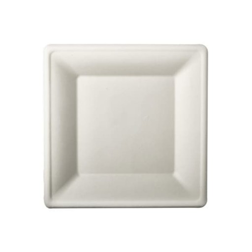 Talerz z trzciny cukrowej kwadratowy 20 x 20 cm
