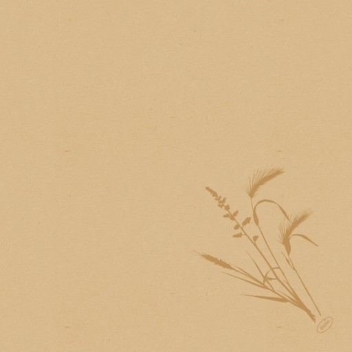 Serwetki Flizelinowe BIO Duni 40x40 Brązowe MEADOW NATURA 60 szt.