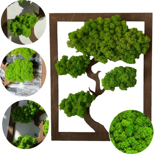 PREZENT drzewo ŻYCIA DRZEWKO SZCZĘŚCIA ŻYWY OBRAZ mech chrobotek BONSAI
