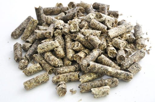 WYSŁODKI BURACZANE NIEMELASOWANE 25 KG dla koni