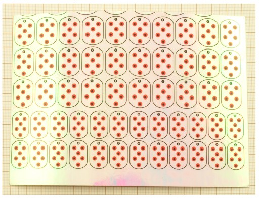 FOLIA HOLOGRAFICZNA Z NADRUKIEM DO PRODUCJI BŁYSTEK WTP-No.064 15x11cm F17