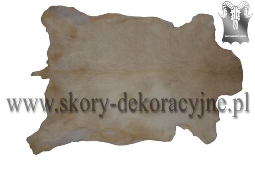 PIĘKNA SKÓRA z KOZY SKÓRY KOZIE DUŻE UNIKAT