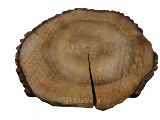 Plaster Orzecha Włoskiego 58x50 Drewno pod Żywicę