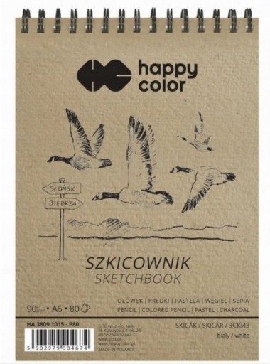 SZKICOWNIK BLOK NA SPIRALI A6 80k/90g RYSOWNIK