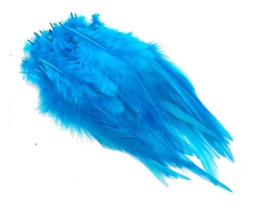 Pióra siodłowe koguta 10-15cm TURQUOISE 50szt